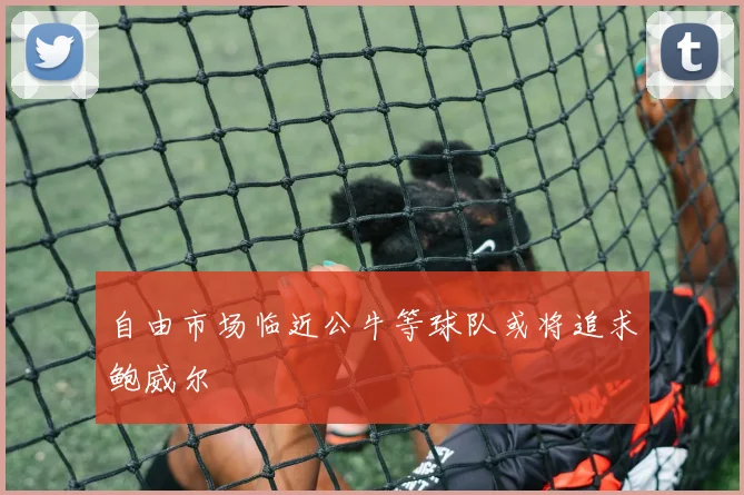 自由市场临近公牛等球队或将追求鲍威尔